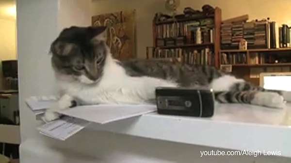 24. Сбрасывание предметов со стола.