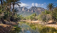 Dünya Üzerinde Başka Bir Gezegen: Socotra Adası