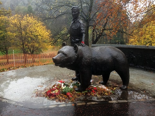 Savaşa Giden Ayı: Kısa Bir Bakışla Polonyalı Er "Wojtek"