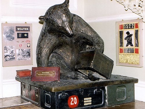 Savaşa Giden Ayı: Kısa Bir Bakışla Polonyalı Er "Wojtek"