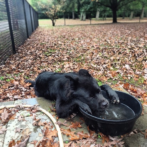 5. Тем, кто веселился ночи напролет, сейчас, несомненно, тяжелее всего.