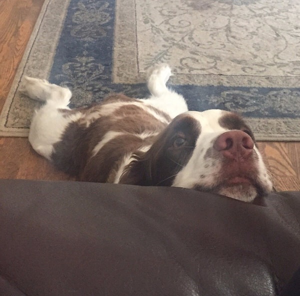 8. "Нет в жизни счастья".