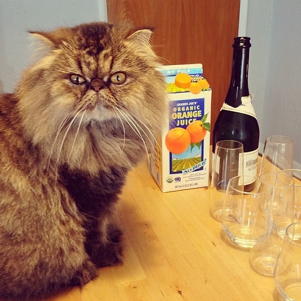 3. Еще по коктейльчику?