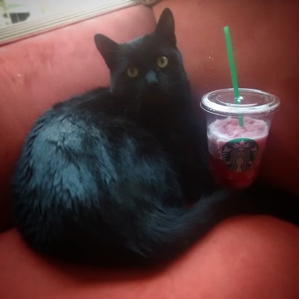 6. Особенно, если это Фраппучино!