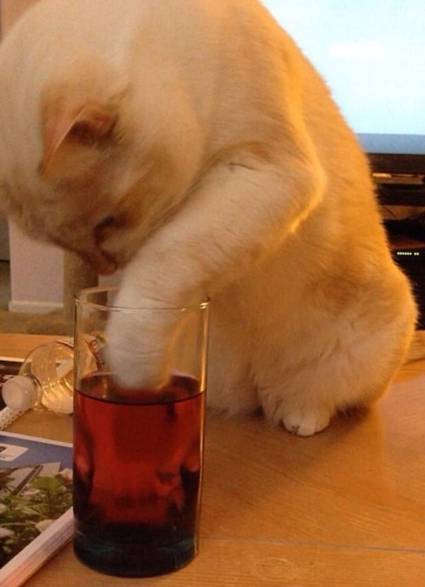 11. Соковая очищающая диета! И моя фигура будет в порядке.