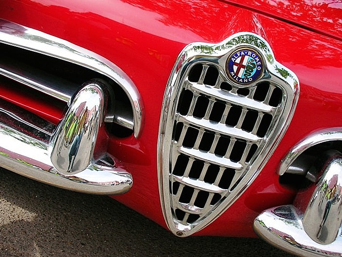 Bir "Alfisti" Değilseniz Asla Bilemeyeceğiniz 26 Şey