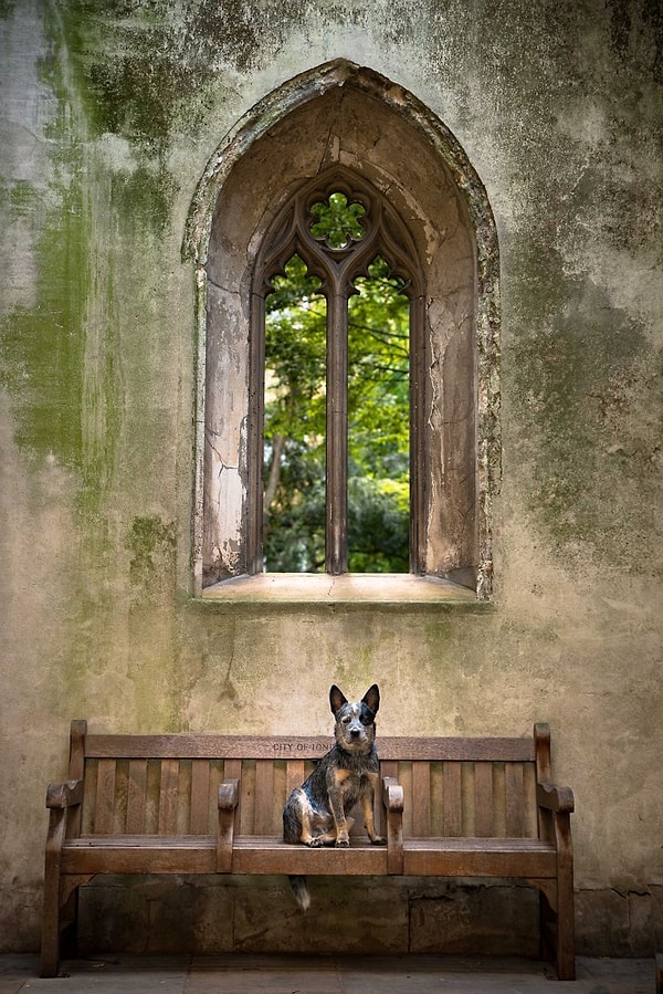 Исследуя потайные сокровища Лондона.