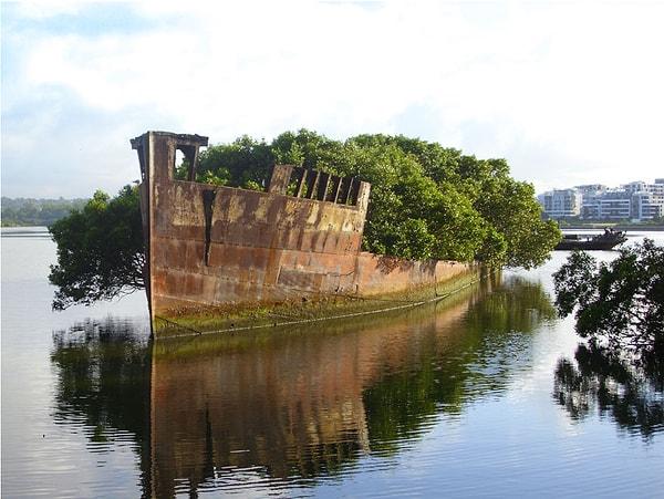 11. 100 yıllık bir gemi, Sidney, Avustralya