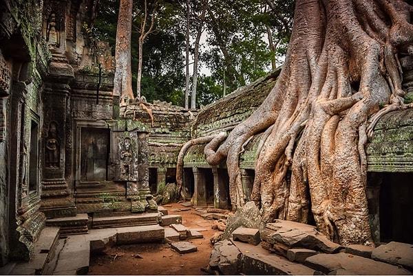 17. Angkor, Kamboçya