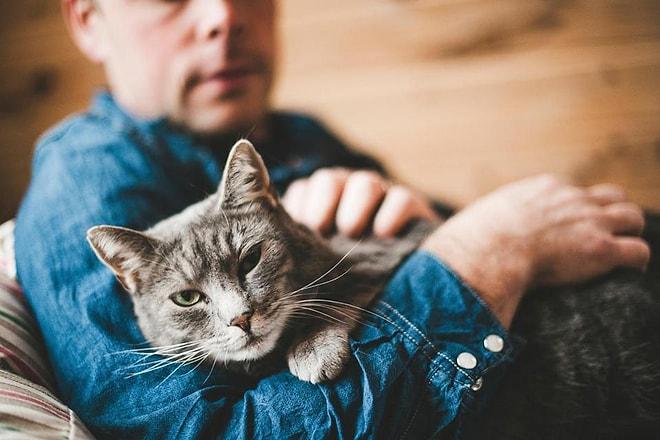 Kedi Sahiplerinin Kendilerine Her Gün Sorduğu Cevabı Olmayan 25 Soru
