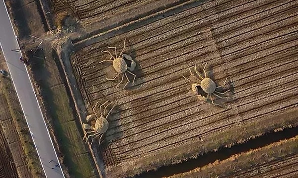 Скульптуры огромных крабов находятся в местности Lvhuazhen на острове Chongming.