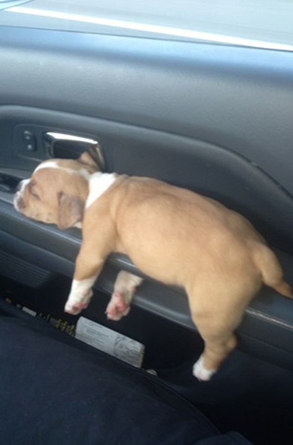 2. На ручке двери от авто.