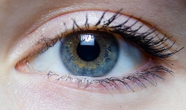 11. Kuzey İngiltere'de yaşayan bir kadının gözlerinde dört farklı koni hücresi olduğu saptanmıştır.