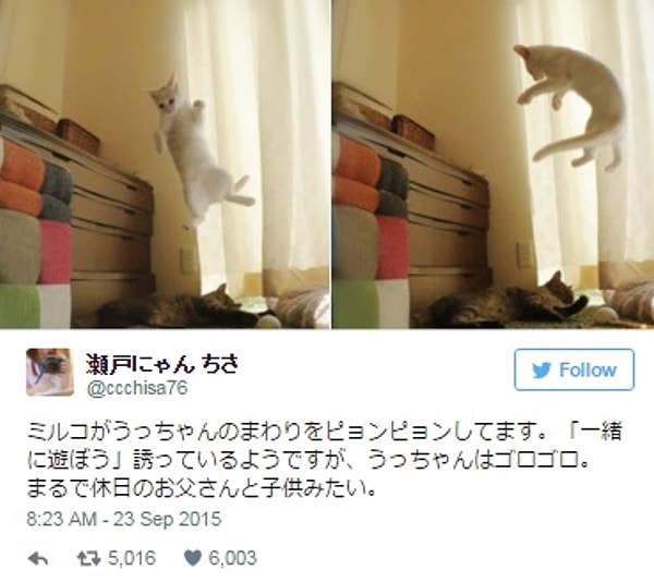 13. Отец и сын дурачатся в выходные, как и все нормальные люди.