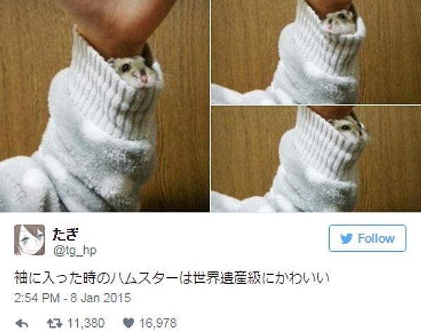 29. Фокус – милый хома из рукава.