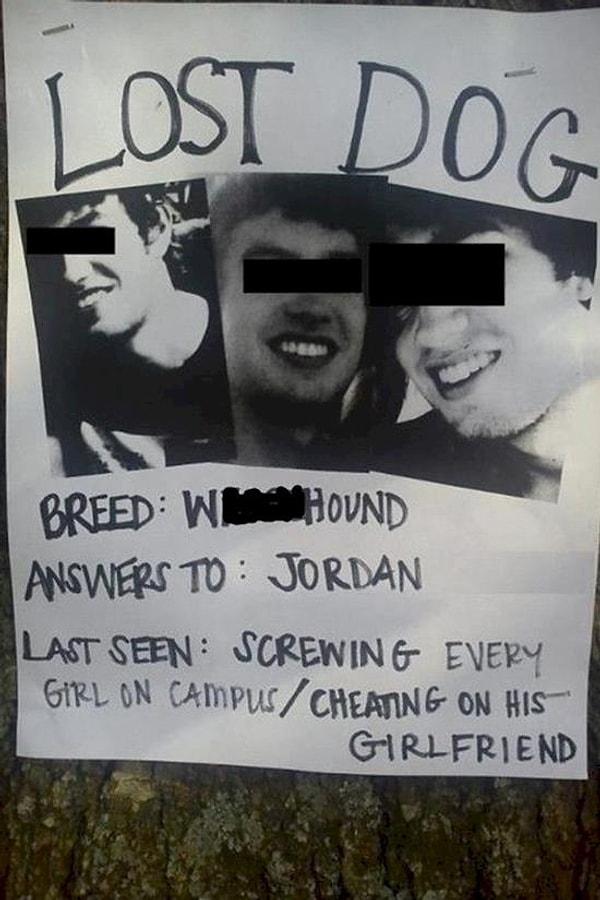 14. Kayıp köpek ilanı