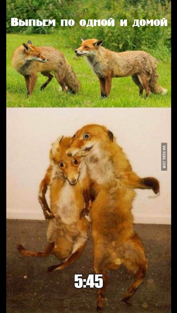 1. Когда договорился с другом, что вы выпьете только по бокалу: