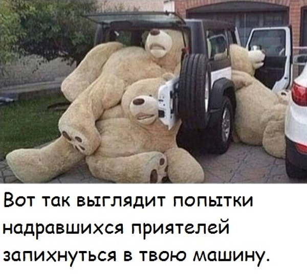 15. Когда всем вдруг захотелось прокатиться с ветерком: