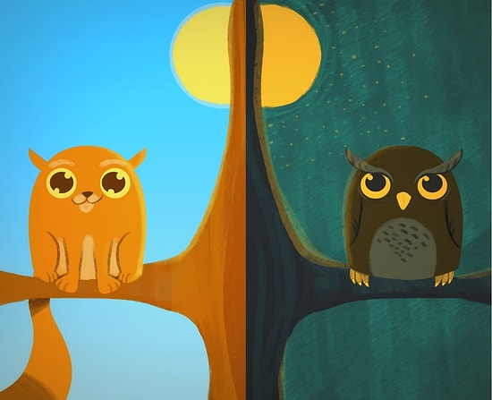 Какое время суток подходит для тебя?