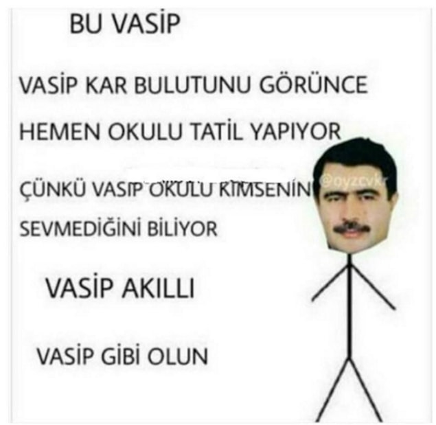 4. Vasip