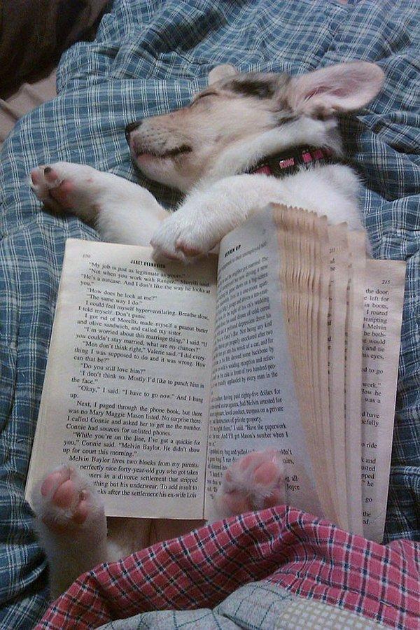 17. Uyumadan önce kitap okumayı severim...