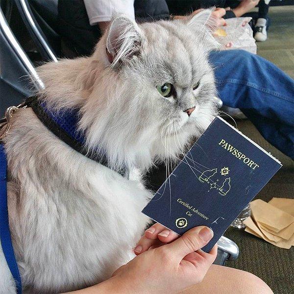 Evet pasaportu da var.
