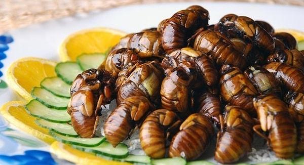 5. Sıkıntı yok mu? O zaman bu ''hachinoko''lara da bayılacaksınız, kızarmış dev arı larvaları.