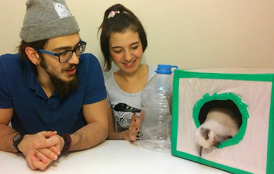 Soğuk Kış Günlerinde Siz de Yardım Edin! Kolay Kedi Evi ve Mama Kabı Yapımı