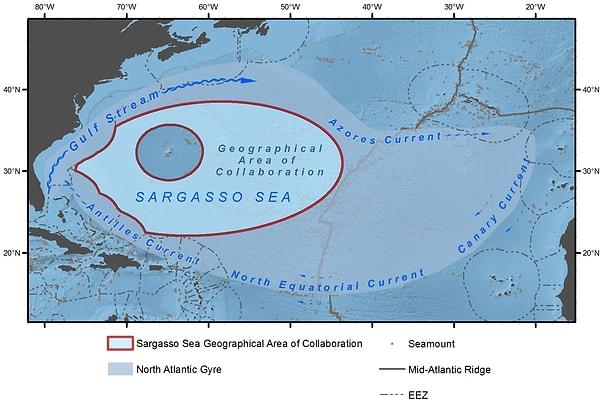 13. Sargasso Denizi, kıyısı olmayan tek denizdir ve bugünkü Atlas Okyanusu tarafından çevrelenmektedir.
