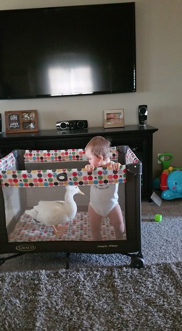 «Би всегда защищает моего сына, если Тайлер плачет, то Бикер начинает крякать и бежит к нему на помощь»