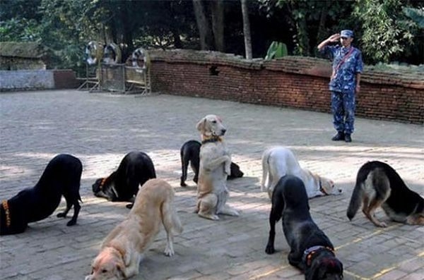 5. Это тоже обыденная картина...