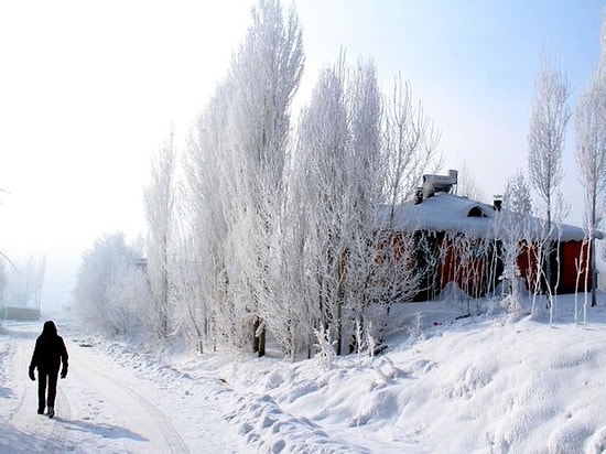 Çaldıran -41.2 Dereceyi Gördü