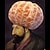 grape_fruit