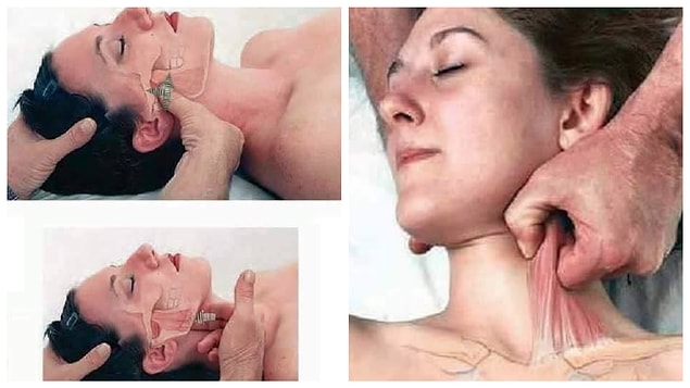 7.