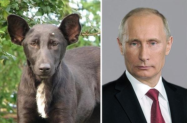 1. Vladimir Putin