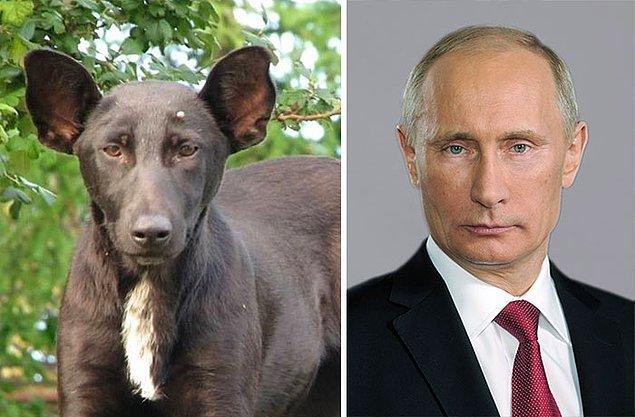 1. Vladimir Putin