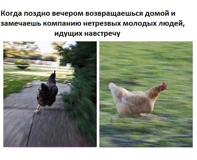 Марафон до дома по опасному району: