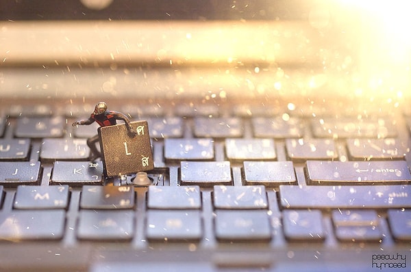 5. Эй, Скотт! Положи на место мою (Л)юбовь!