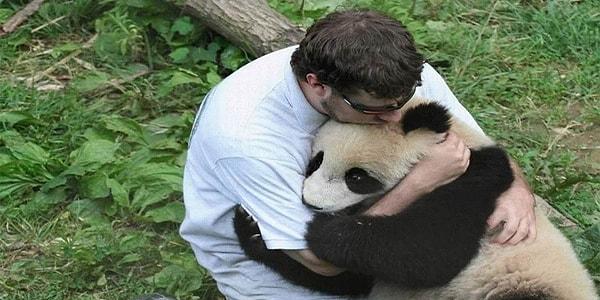 1. Sarılmak için yaratılmış panda.