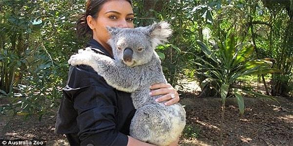5. Duruşuyla bile insana huzur veren koala.