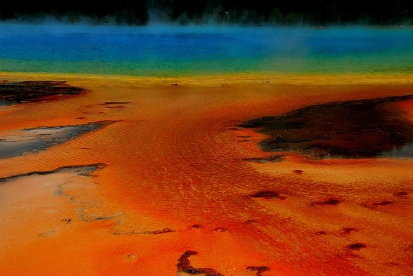 3. Chase Rodi, США.