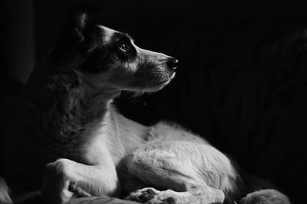 У него были некоторые проблемы с поведением