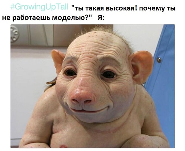 Когда кто-либо предлагает тебе стать моделью, беря в расчет только твой рост: