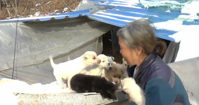Yaşlı kadının yaptığı işi daha değerli kılansa durumu oldukça kötü olmasına rağmen böylesine bir işe devam ediyor olması.