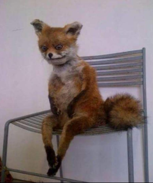 6. Вот и утро. Спустил ноги с кровати, пялюсь на ковёрный узор...