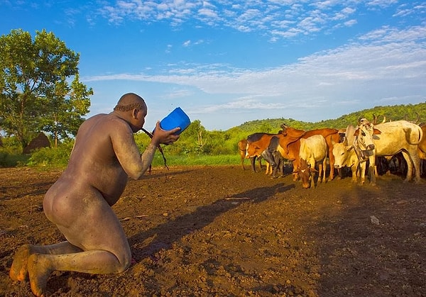 Таким образом, желудки большинства соперников не выдерживают, и у них начинается рвота.