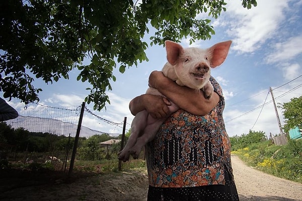 2. Улыбающаяся женщина 🐷 Хрю-хрю