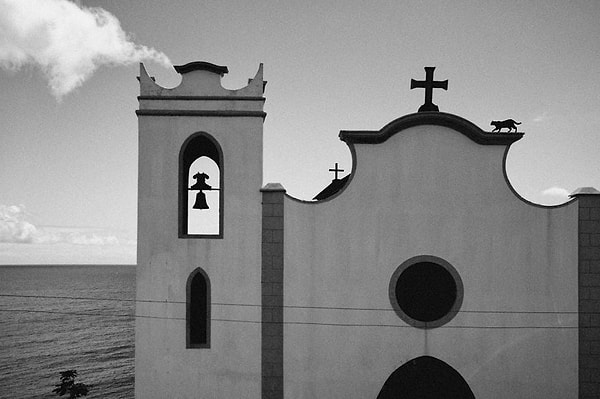 7. Найди кота!