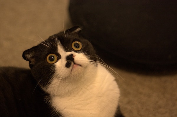 Ты не владеешь информацией.