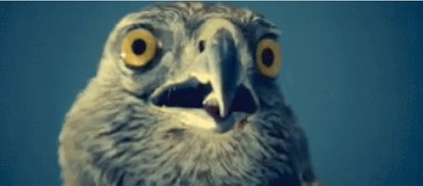 2. Затем ты оглядываешь весь этот мутный мир и понимаешь, что, если наступит зомби-апокалипсис, тебя убьют первым.